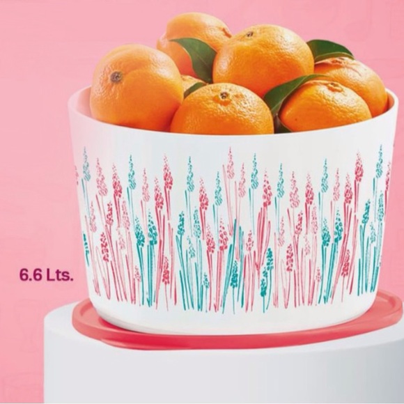 Tupperware Canister Wheat 6.6 Liter - Picture 3 of 16